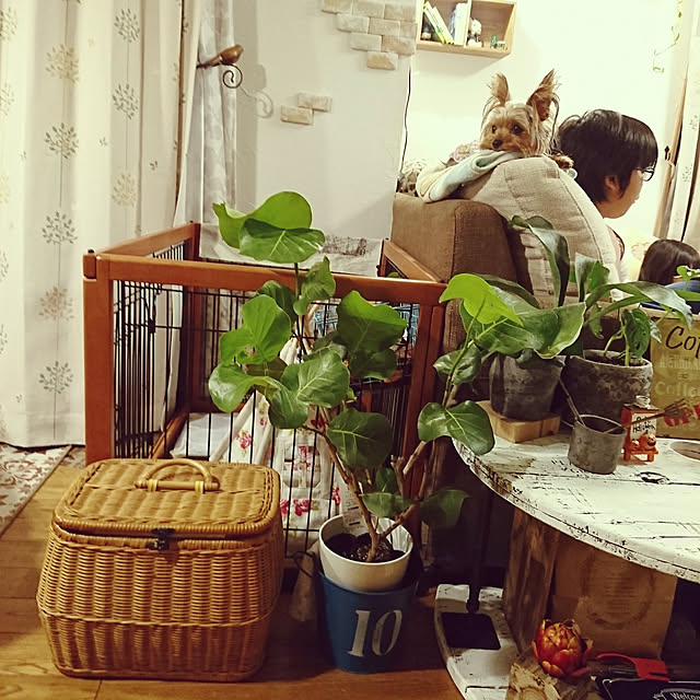 akiさんの実例写真