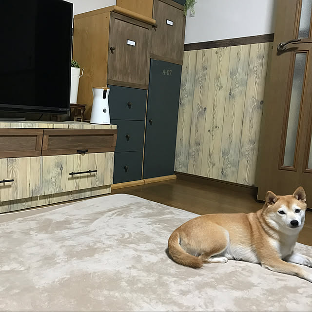 rumiさんの実例写真