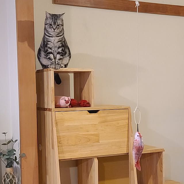 lovepeaceさんの部屋