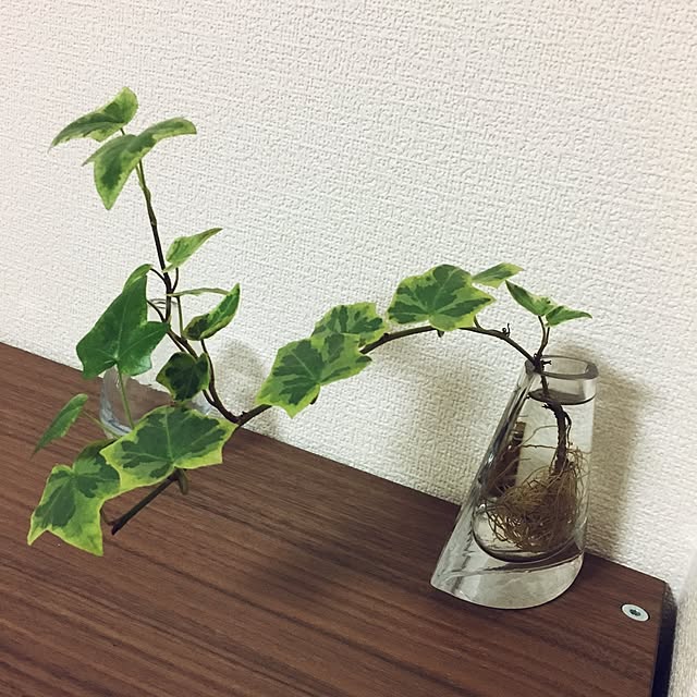 sara165さんの実例写真