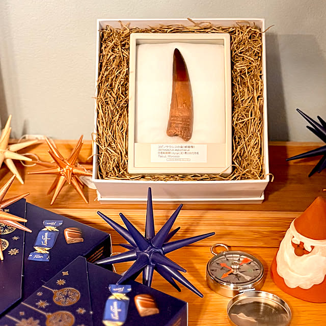 tantanmaruさんの部屋