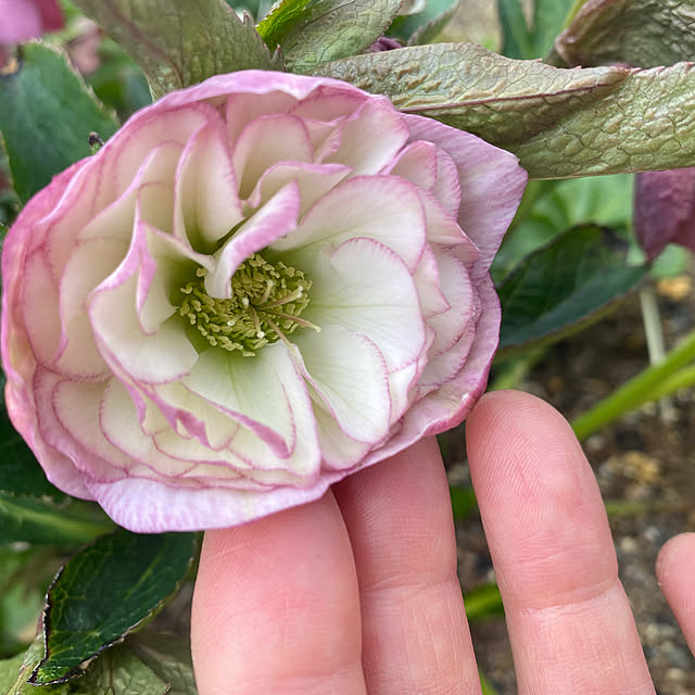 uraraさんの部屋