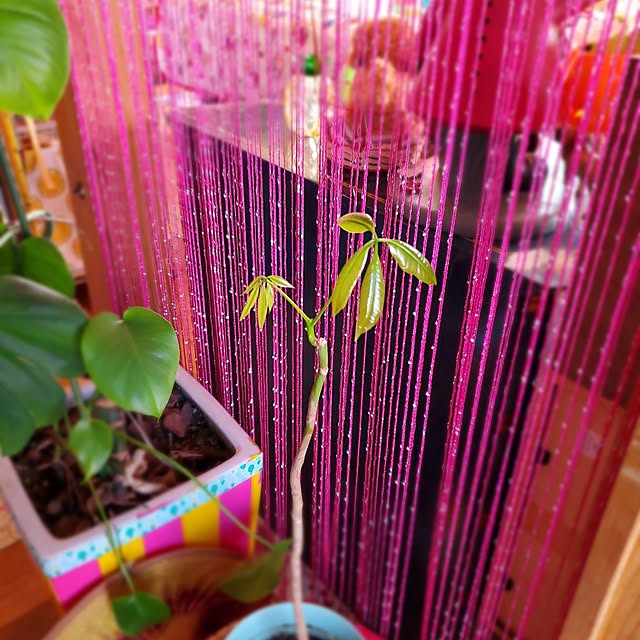 kumutanさんの部屋