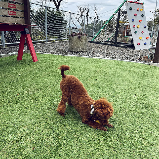 maroさんの実例写真