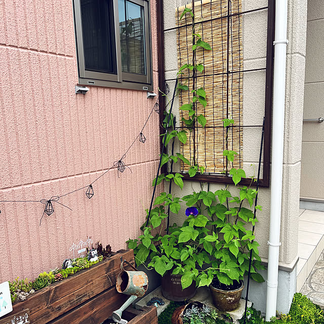 pekoさんの実例写真