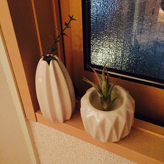 キッチン/ダイソー/観葉植物/100均/フェイクグリーンのインテリア実例 - 2016-03-26 17:18:27