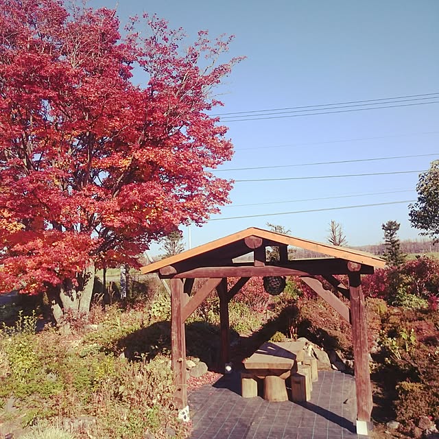 実例写真