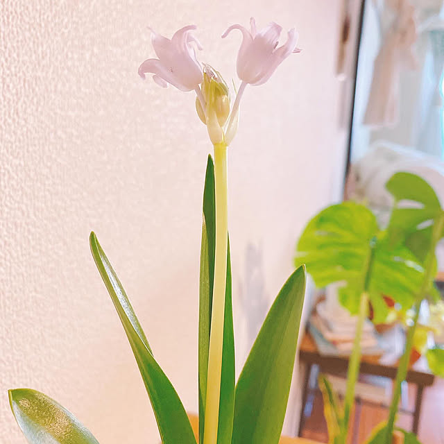 smallroomさんの実例写真