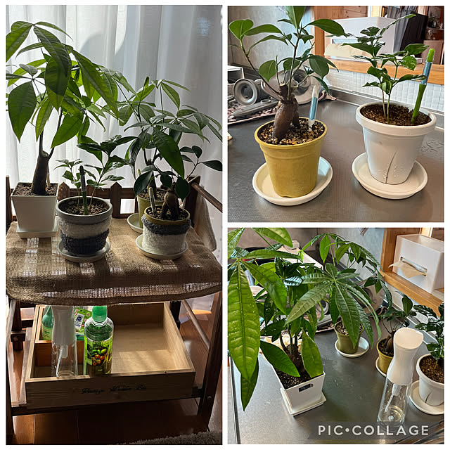 mogumoguさんの部屋