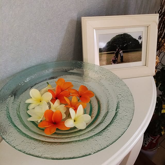 kicchanさんの実例写真