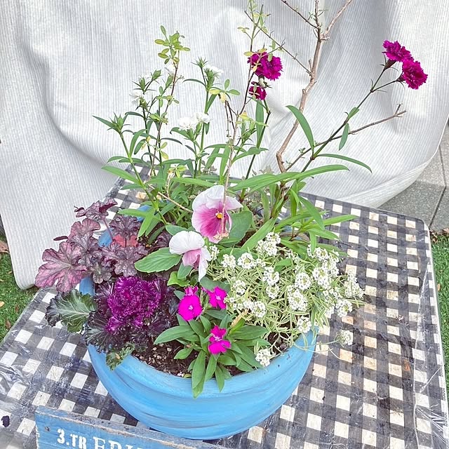 min_nimさんの部屋