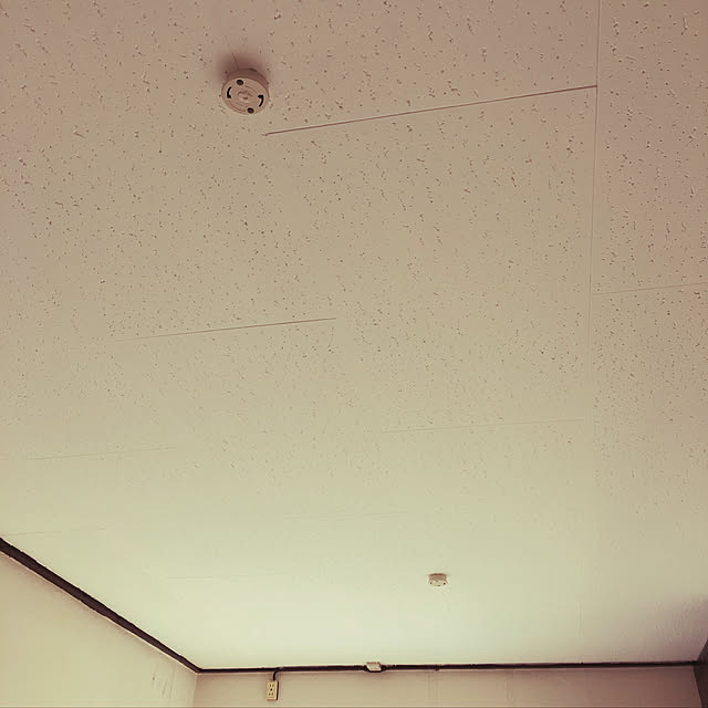 romogoさんの実例写真