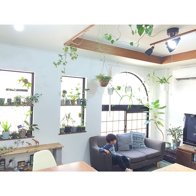 kiki_nekkoさんの実例写真