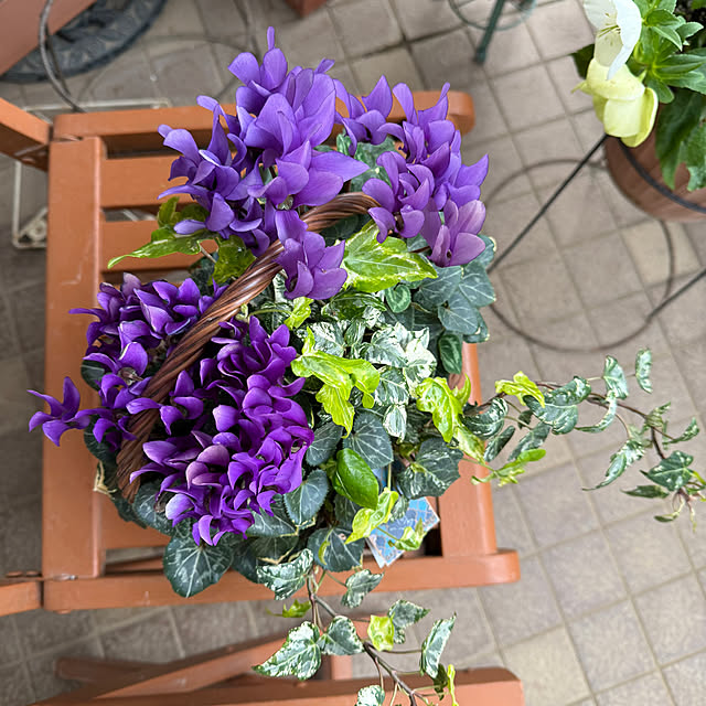 Aqettyさんの部屋