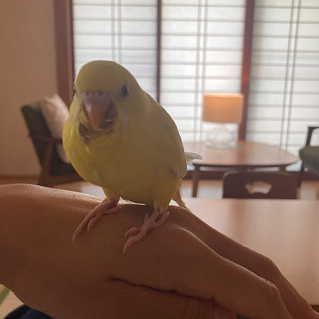 kaoriさんの部屋