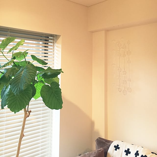 mitanarudoさんの実例写真