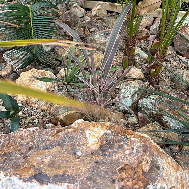 bonjiri0824さんの実例写真