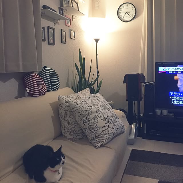 kirinさんの実例写真