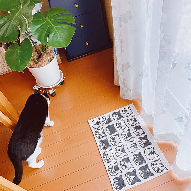 moolさんの部屋