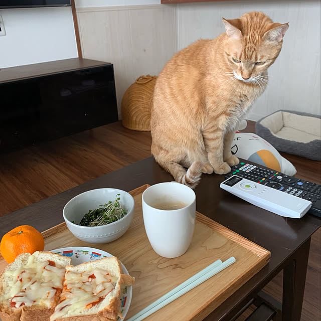 mikeume7さんの実例写真