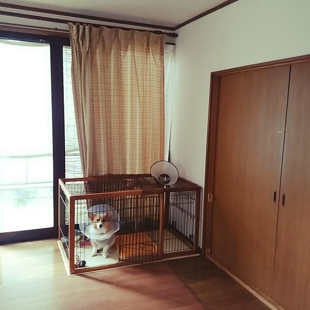 cohakuさんの実例写真