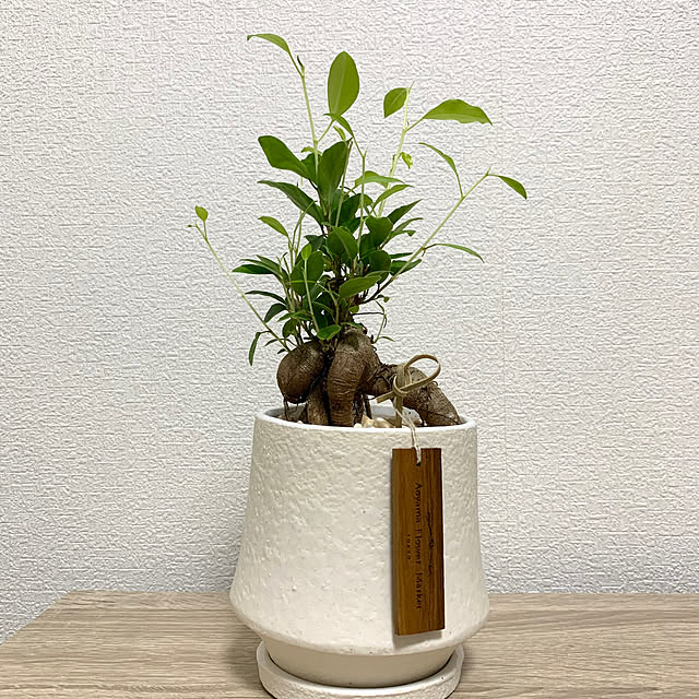 jeyさんの部屋