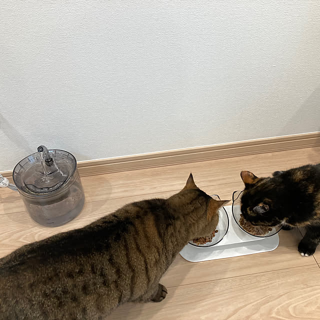 kirinsanさんの実例写真