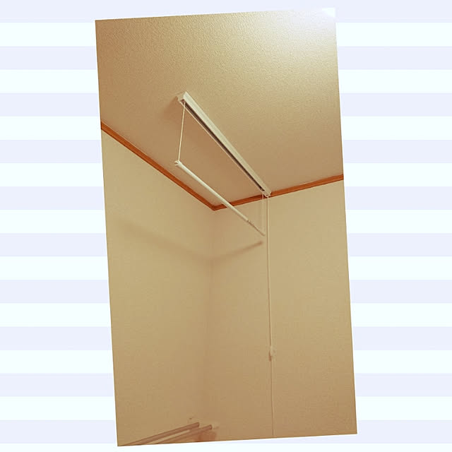 noguriさんの実例写真