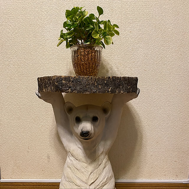 saoさんの実例写真