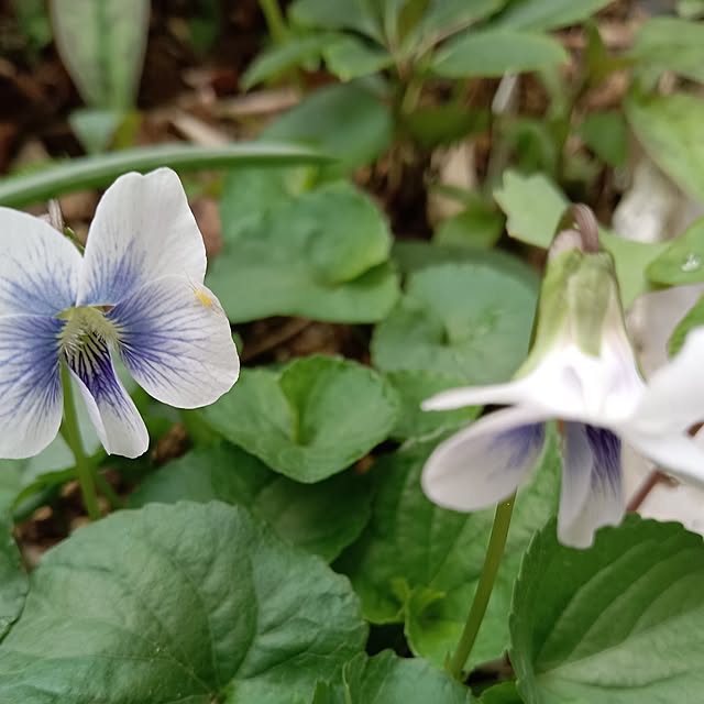 sa.yさんの実例写真
