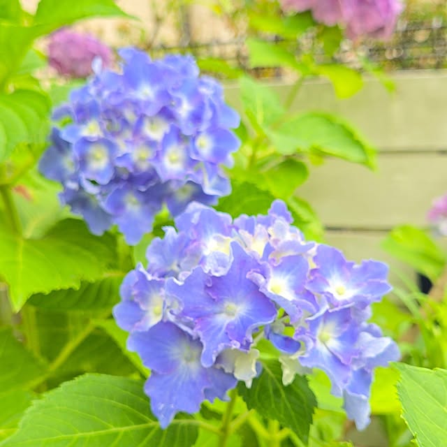 min_nimさんの部屋