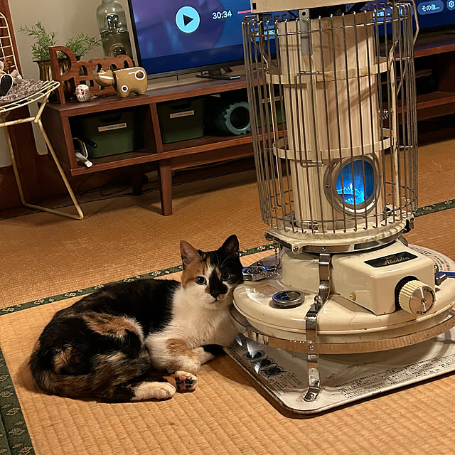 choroさんの実例写真