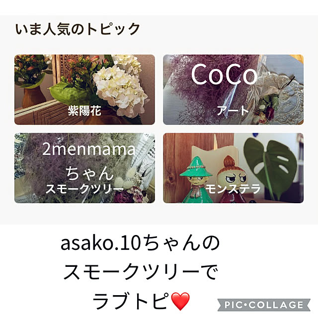 CoCo0617さんの実例写真
