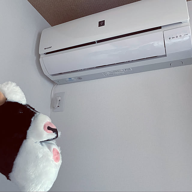seiさんの実例写真