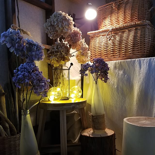 midoriさんの部屋