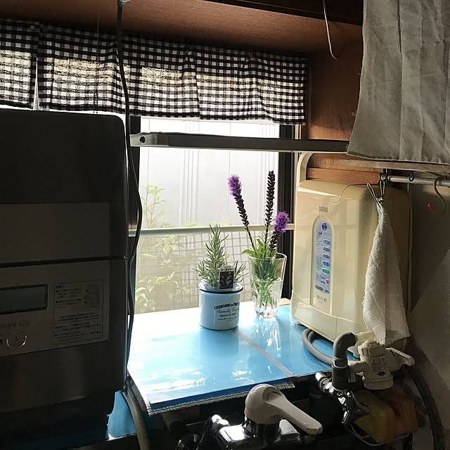 haihaiさんの実例写真