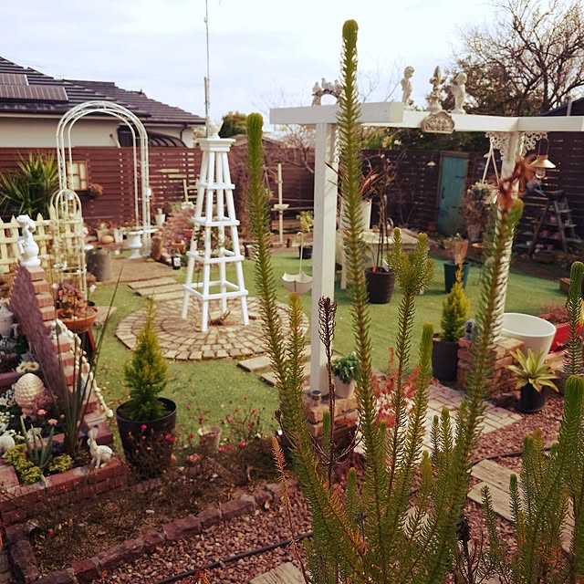 masayoさんの実例写真