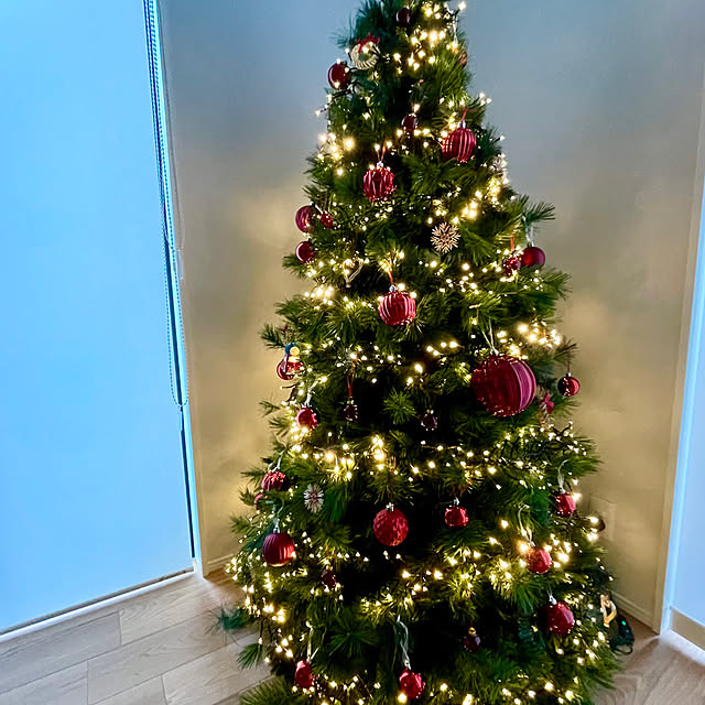 Ayaさんの実例写真