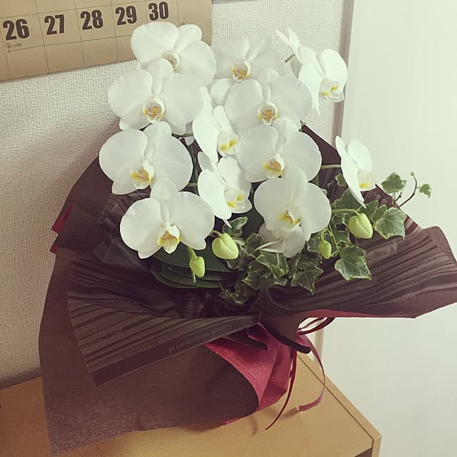dandelion0410さんの実例写真