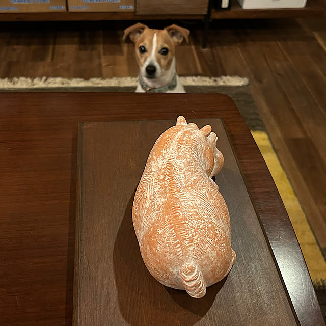 PU930さんの実例写真