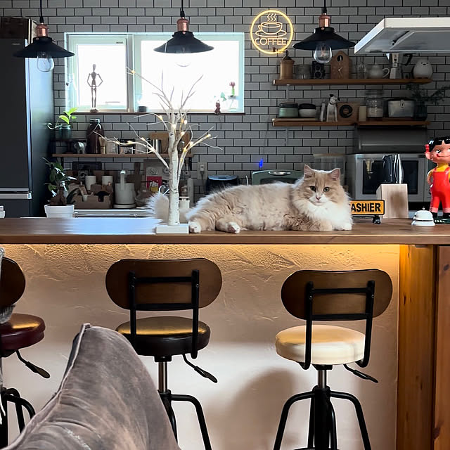 chibinoriさんの部屋