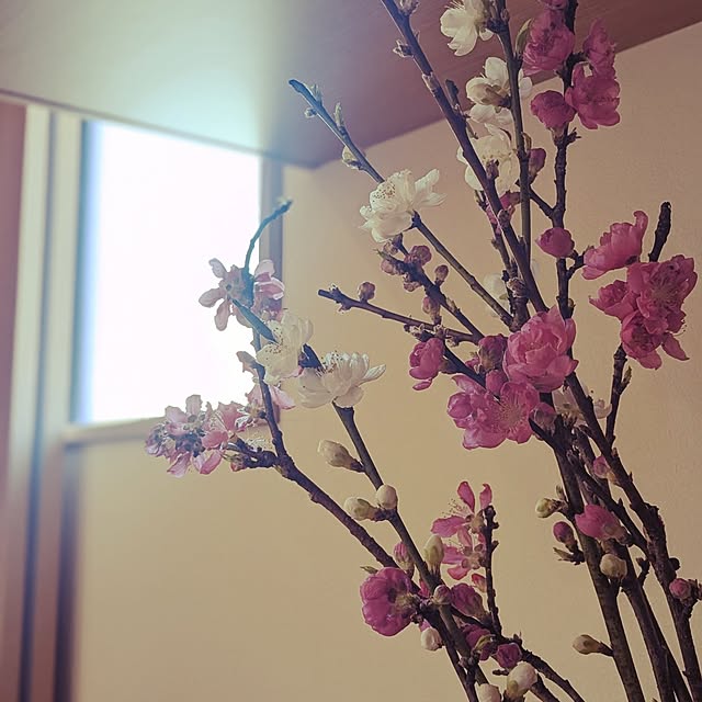reeさんの部屋