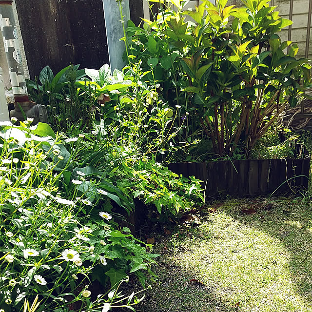 Renさんの実例写真