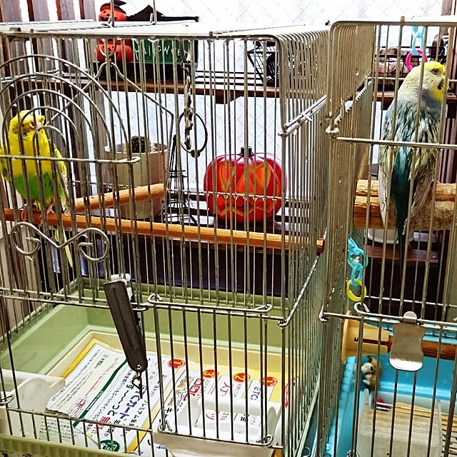 keikopiさんの実例写真