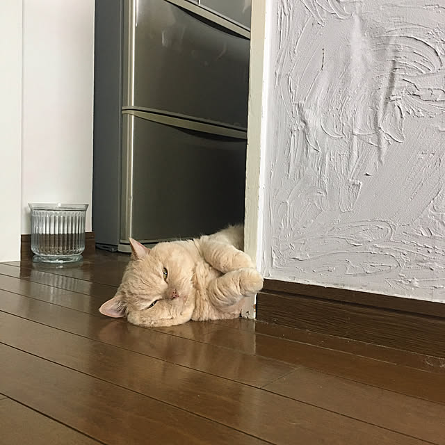 naokoさんの部屋