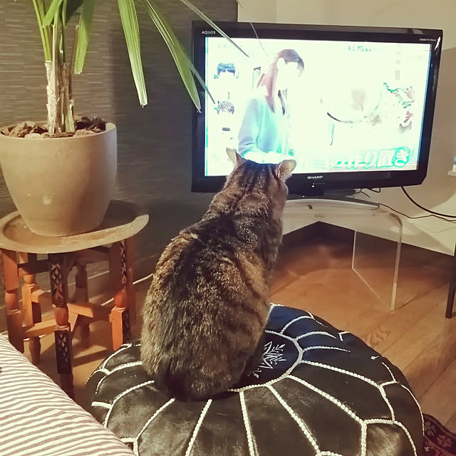 nahocさんの実例写真