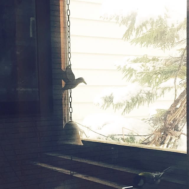 siroさんの実例写真