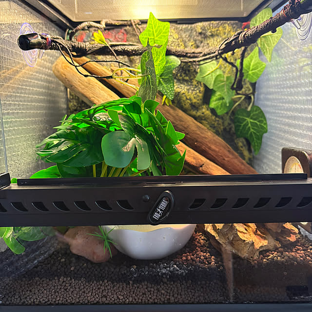 otanuさんの実例写真