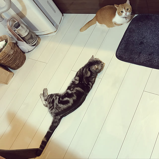 KotarouKunさんの実例写真