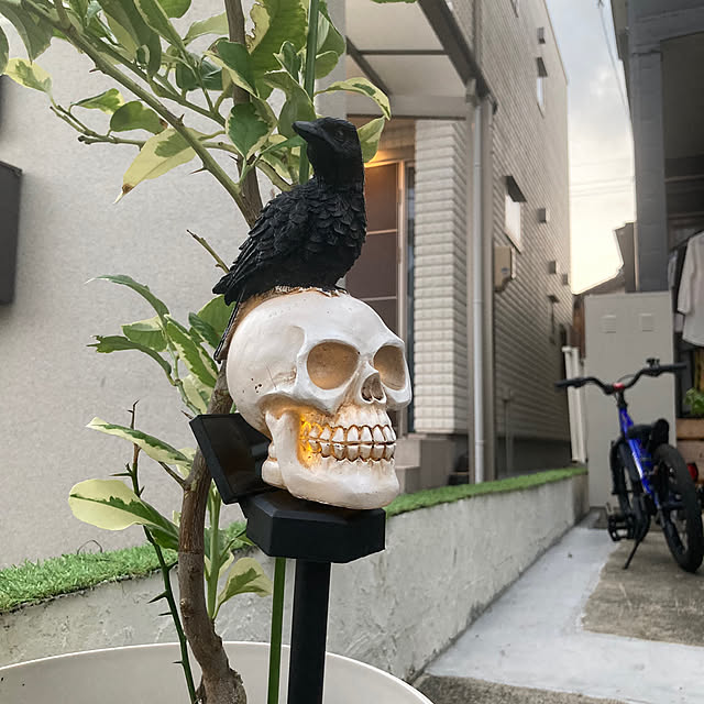 HANAさんの部屋